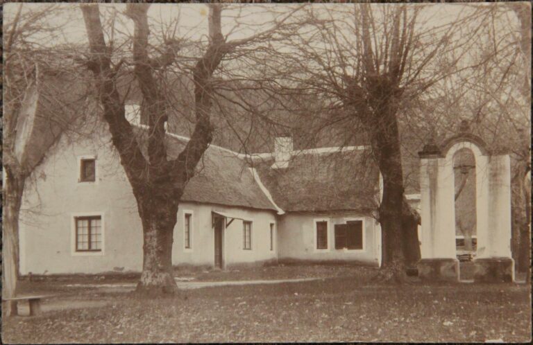 680431 437678319623909 1299244057 o 768x498