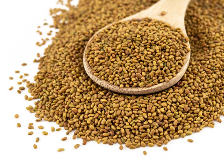 Alfalfa Seeds