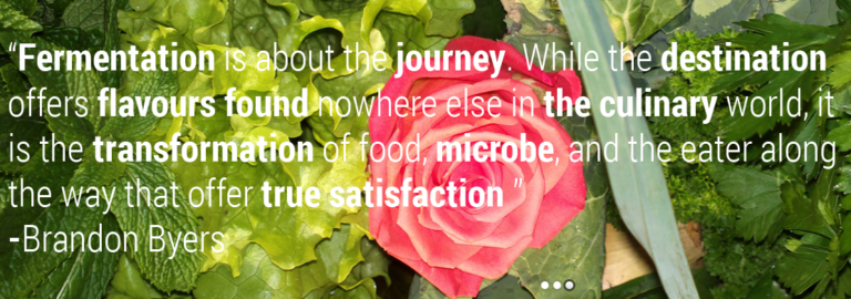 screenshot www.fermentedfoods.co .za 2021.08.06 13 58 41 768x270