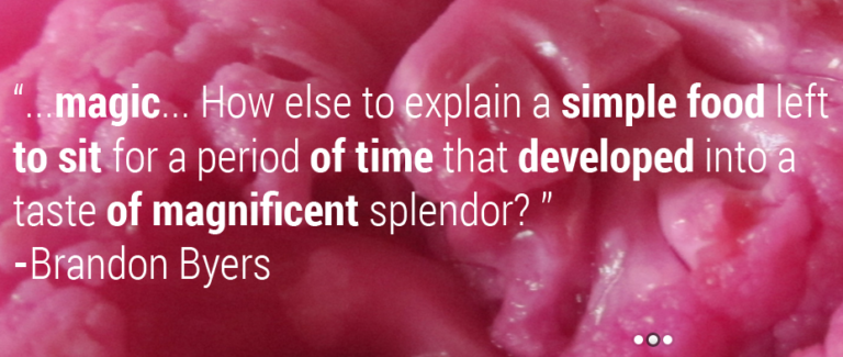 screenshot www.fermentedfoods.co .za 2021.08.06 13 59 01 768x325