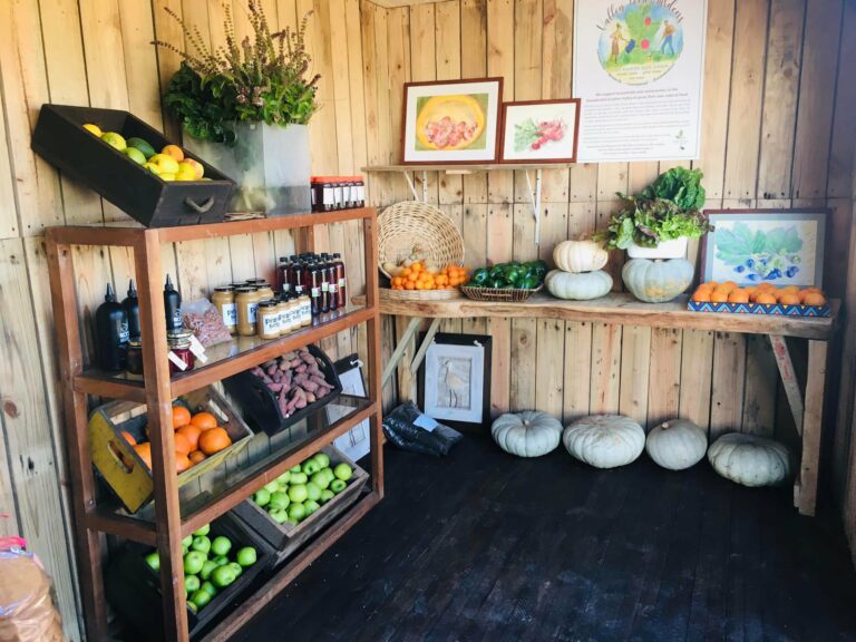 285332069 2008837419320378 2272001481432962494 n 768x576