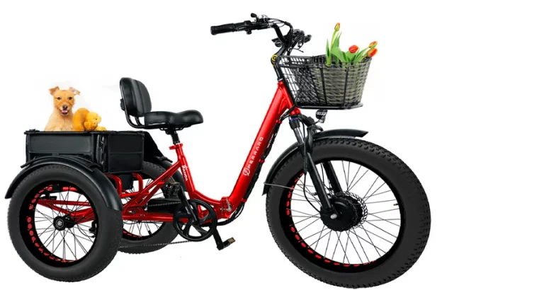 Panda electric trike sider 3 768x410