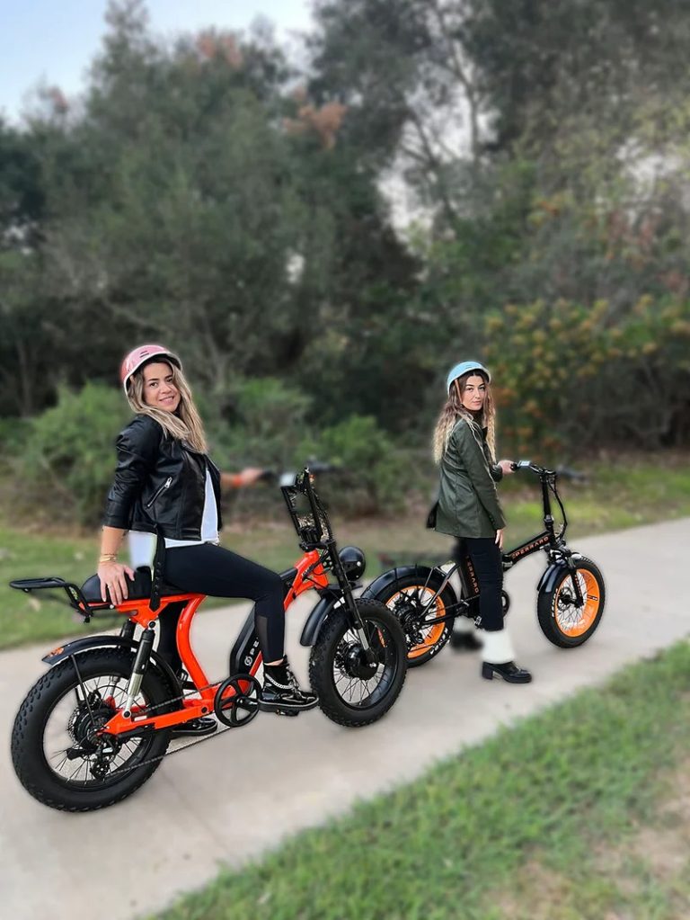electrik bike 768x1023
