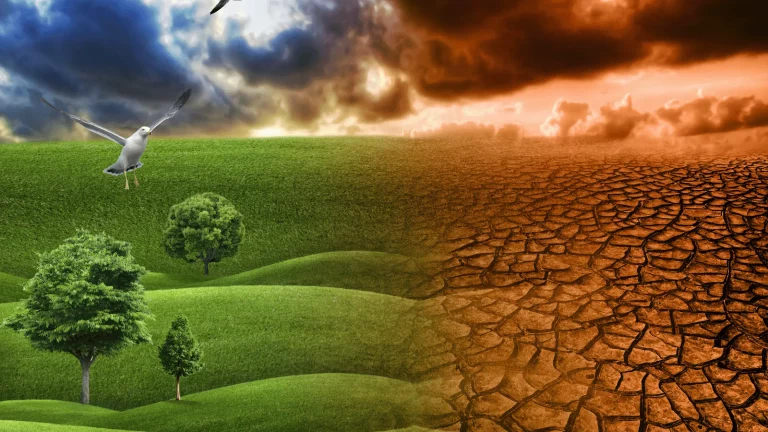 Untitled design 4 768x432