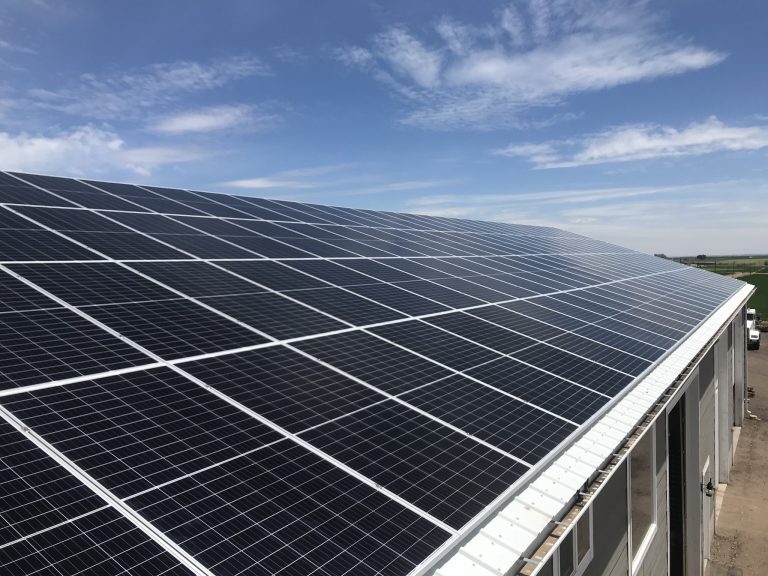 441910753 955368033264271 2082605302469938058 n 768x576