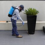 pest treatment adelaide