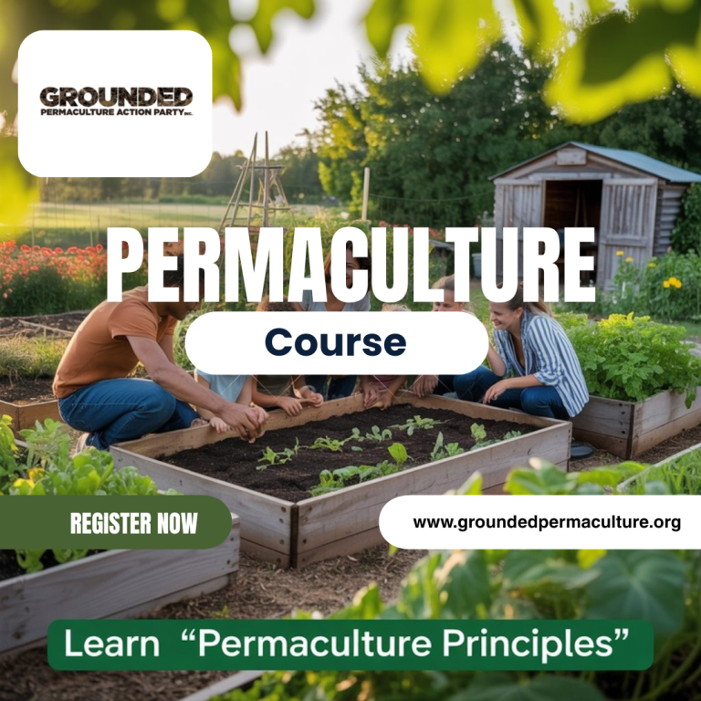Permaculture 768x768