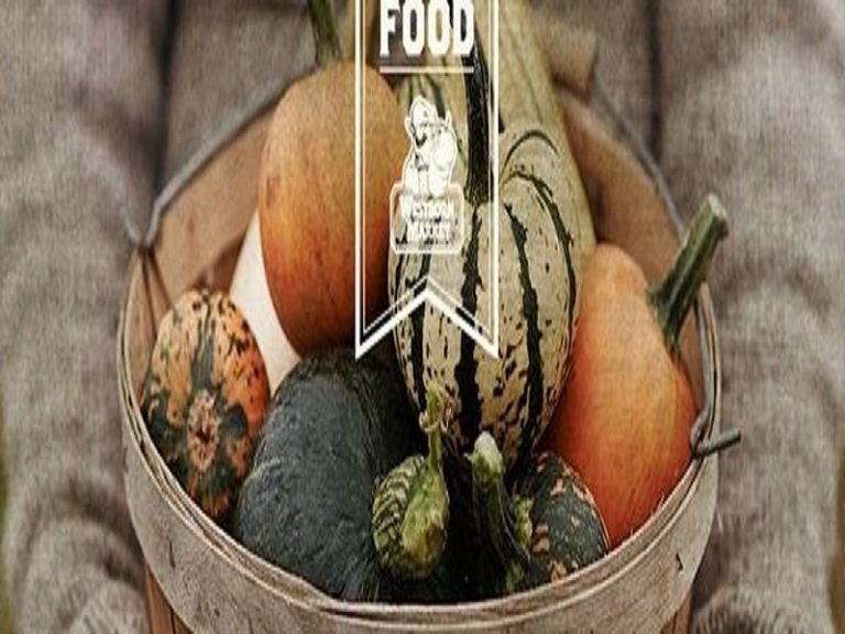 Google800x600 768x576