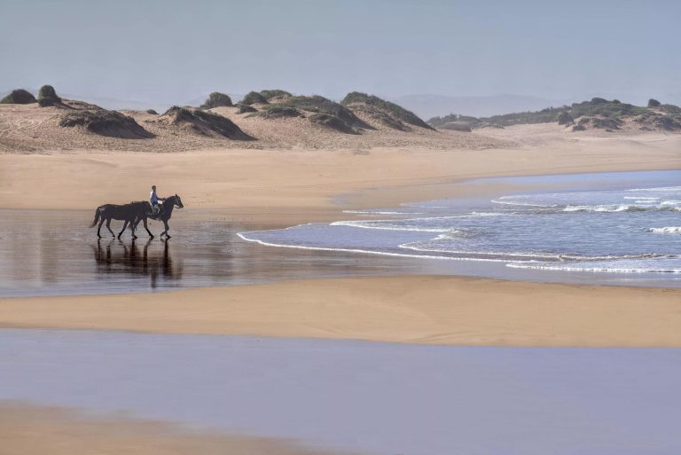La Sultana Oualidia Horses on the Beach AARU Collective 768x513