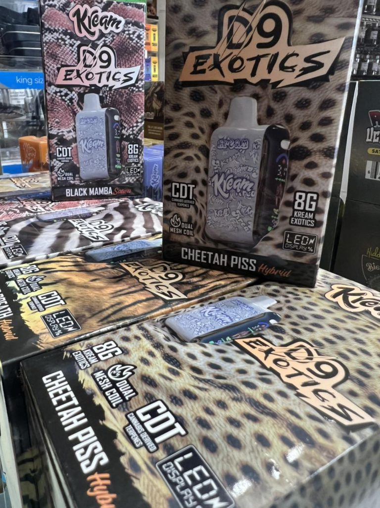 494196195 1225954892874139 2515590307907543136 n 768x1026