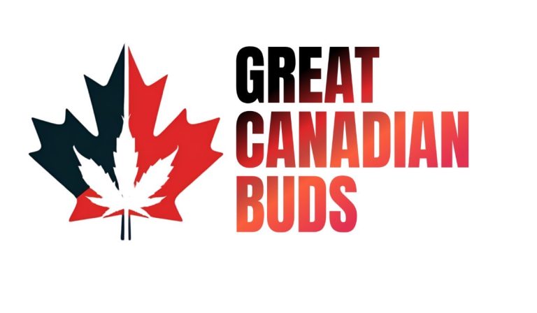 signal 2025 12 24 23 53 24 744 768x448