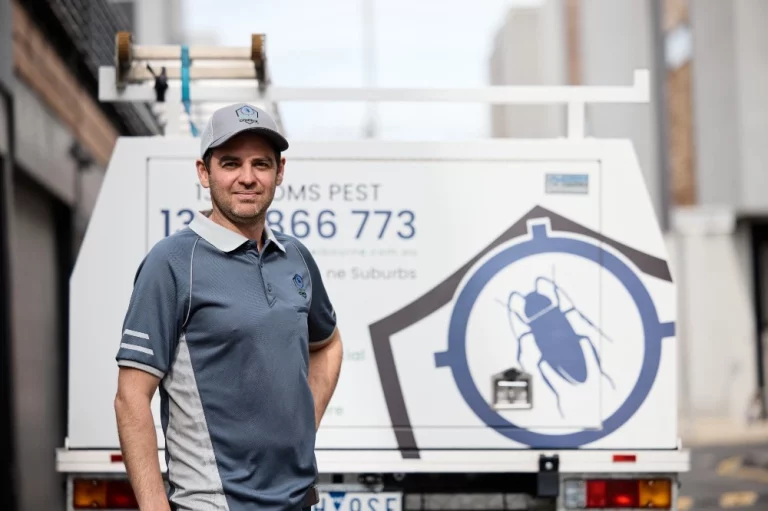 termite treatment melbourne 768x511