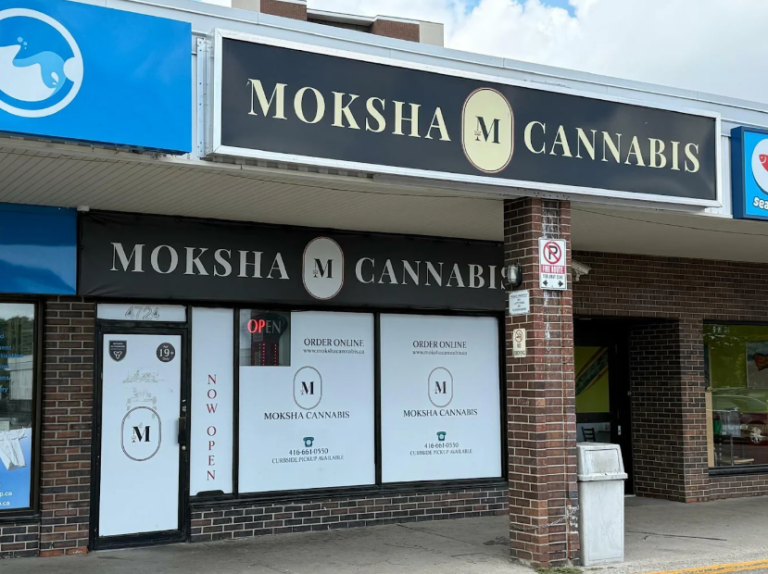 Screenshot 9 768x574